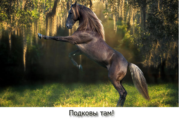 веселый конь