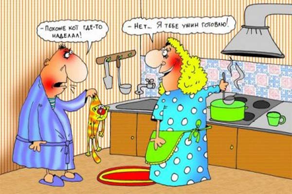 муж и жена, карикатура