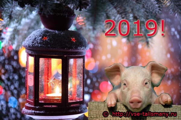 празднуем 2019 год - фонарь на елке, желтая свинья