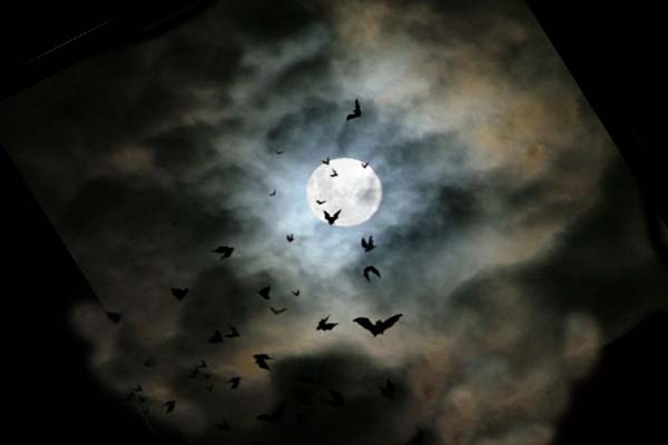 Луна в темном небе