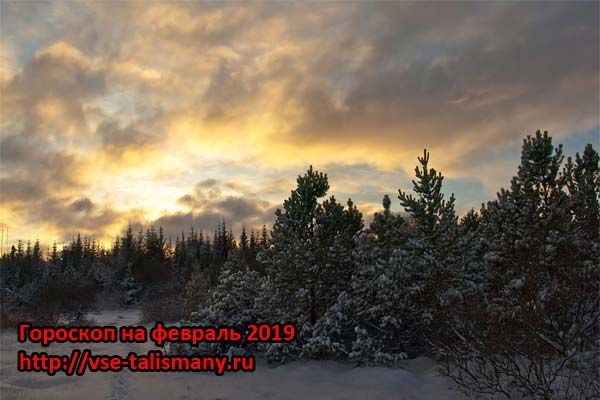 Февральский лес