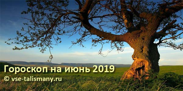 дерево в июне
