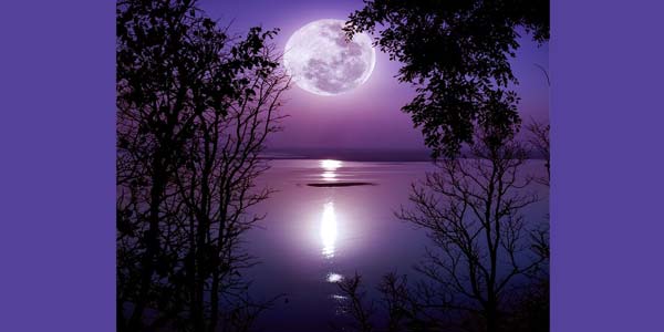 полная Луна в фиолетовом небе