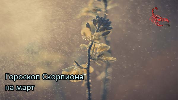 цветок в росе, дисперсия