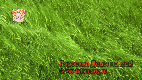 полянка с травой