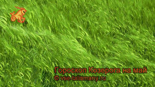 зелёная трава