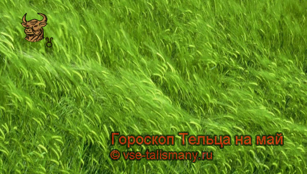 свежая зелёная трава