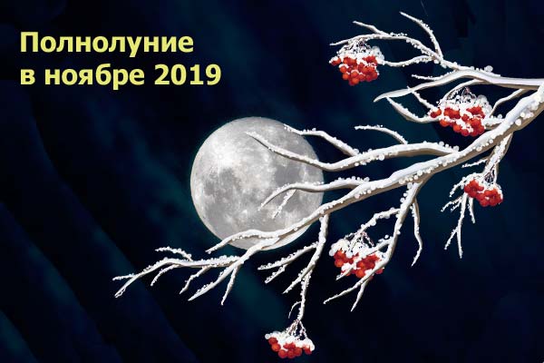 луна и ветка рябины