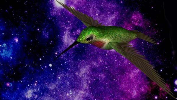 колибри во Вселенной