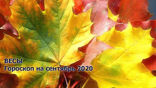 желто-зеленый осенний лист