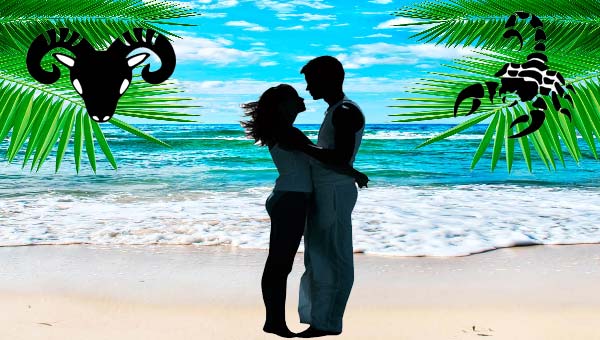 влюблённая пара целуется на берегу моря, пальмы