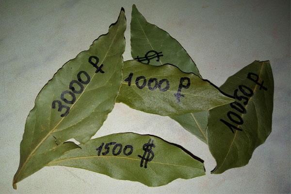 лавровые листья с надписями