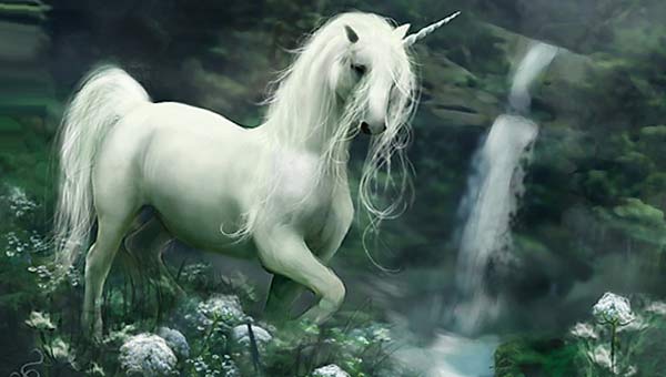 белый волшебный конь