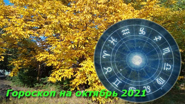 пожелтевшие деревья в октябре