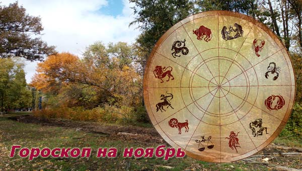природа в ноябре