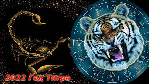 Скорпион и Тигр