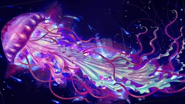 фиолетовая медуза