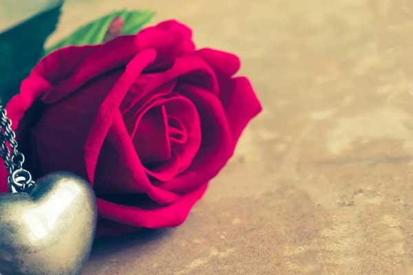 роза и металлическое сердечко кулон