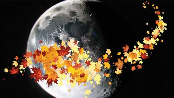 Луна и желтые кленовые листья