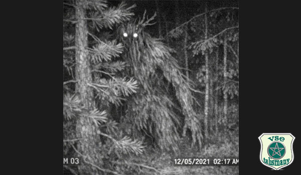 леший со сверкающими глазами