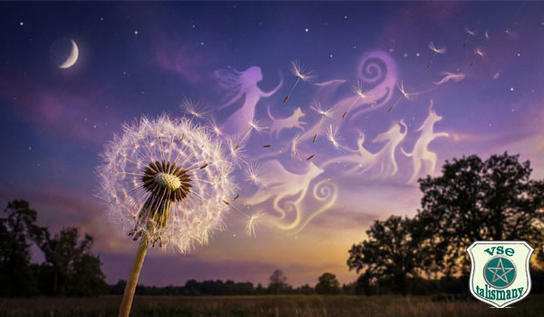 одуванчик на фоне фиолетового неба